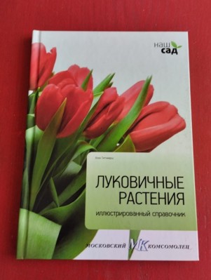 Изображение Изображение