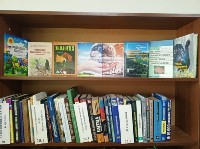 �����������