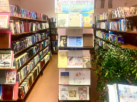 �����������