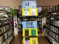 �����������