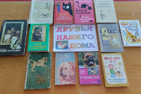 �����������